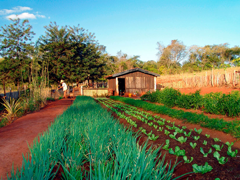 Apesar do incentivo de órgãos públicos, a agricultura familiar não é sinônimo de produção orgânica. Foto: Wikipédia