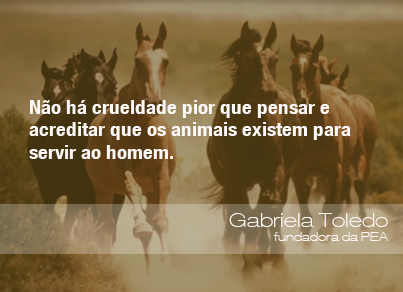 Frases do Meio Ambiente - Gabriela Toledo, fundadora do PEA (24/03/14) -  ((o))eco