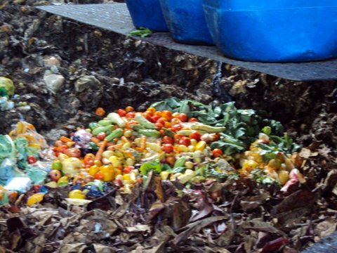 Descarregando os resíduos orgânicos que se transformarão em adubo através da compostagem. Foto: divulgação Zona Sul