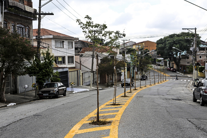 São Paulo tem déficit de 1 milhão de árvores na via pública. Crédito: Fabio Arantes/SECOM. 