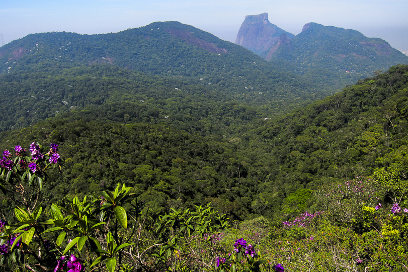 Vista privilegiada do Parque Nacional da Tijuca. Fotos: Daniele Bragança