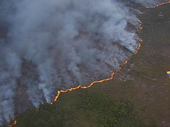 Linha de fogo devorando o parque nacional. Incêndios fora de controle. (Foto: Bruno Soares Lintomen)