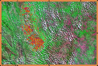 Ao todo, 1622 focos de incêndios atingiram o Parque Nacional da Chapada Diamantina desde o dia 1 de outubro. Cada cor indica que a imagem foi capturada por um satélite. (Fonte: Inpe)