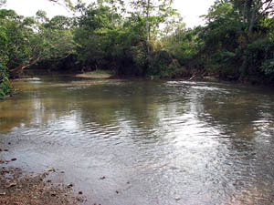 Rio Santa Catarina recebe rejeitos indistriais. (Foto: Aldem Bourscheit)