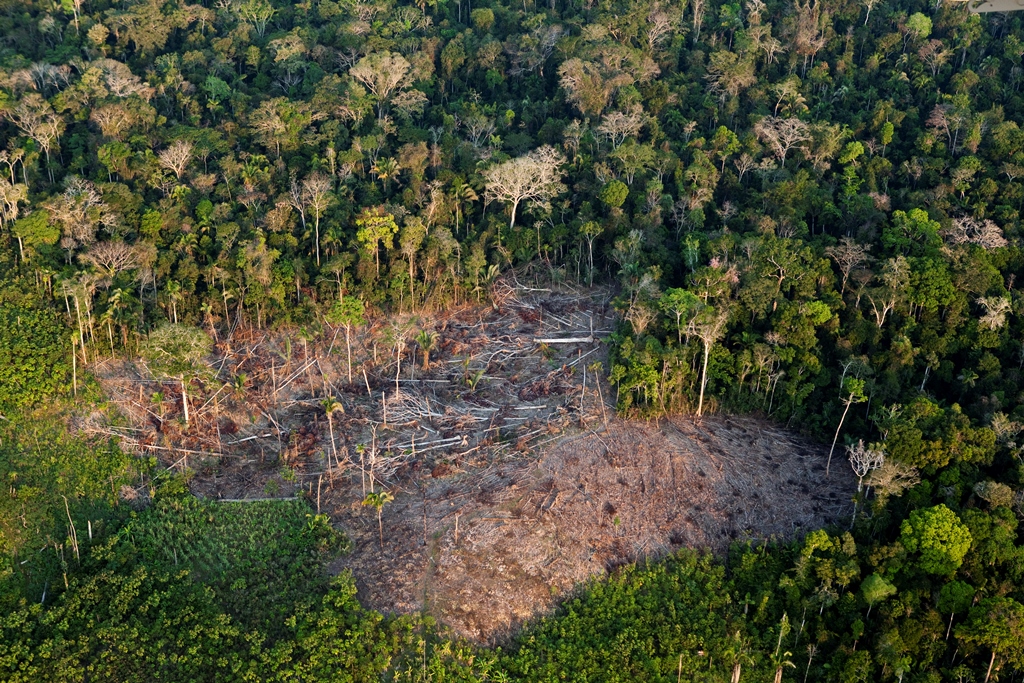 Imagem área de corte raso na Amazônia. Crédito: Simon Rawles / WWF-UK