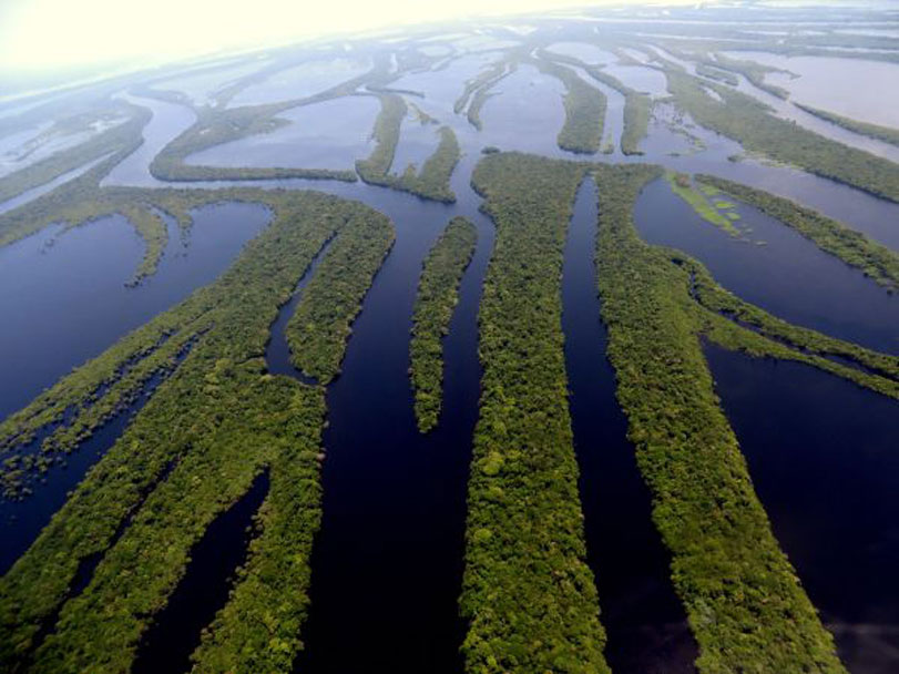 Arquipélago das Anavilhanas na Amazônia. Foto: Karina Miotto