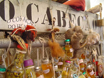 Pedaços de animais à venda: cabeça de pica-pau, pênis de quati e garras de preguiça. (Foto: Marcelo Pavlenco)