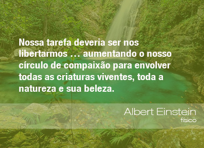 Frases do Meio Ambiente - Albert Einstein, físico (25/10/13) - ((o))eco