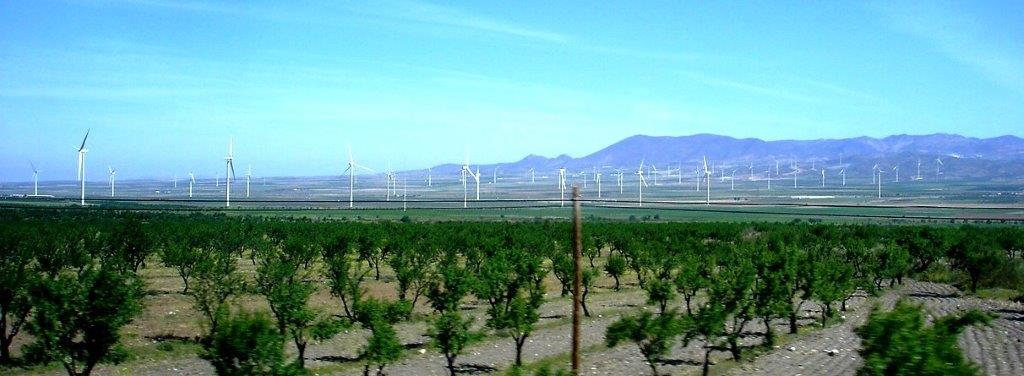 Campo eólico sobre laranjeiras no sul da Espanha. O impacto visual é muito forte. Foto: Marc Dourojeanni