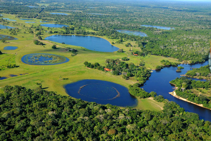Vista aérea da Fazenda Barranco Alto, sede do projeto, nas margens do Rio Negro. Foto: Lucas Leuzinger