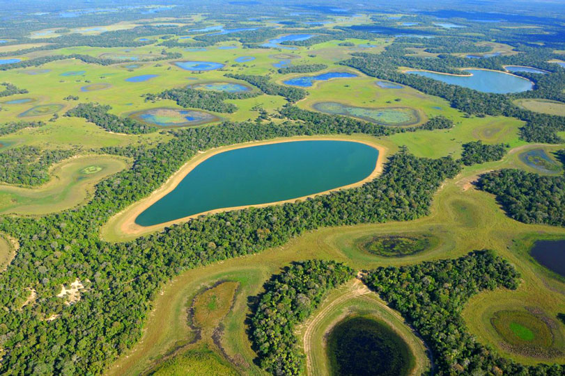 Típica paisagem da região de mata, campo e muita água, inclusive salinas. Foto: Lucas Leuzinger / Fazenda Barranco Alto, Pantanal.
